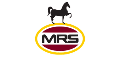 MRS logo